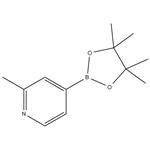 2-METHYLPYRIDINE-4-BORONIC ACID PINACOL ESTER pictures