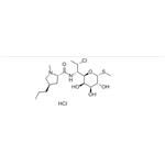 21462-39-5 Clindamycin hydrochloride