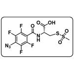 ATFBC-MTS [4-Azido-2,3,5,6-tetrafluorobenzamidocysteine methanethiosulfonate] pictures