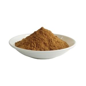 Rosemary Extract Carnosic Acid Powder