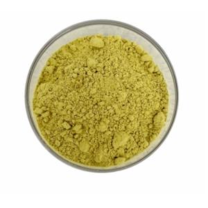 Hypericum Perforatum Extract/ Hyperoside