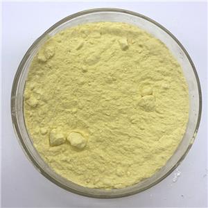 Ethyl cellulose