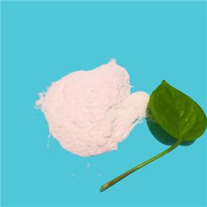 E466 Chemical  Na CMC Food Grade for Dairy Products