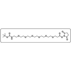 t-Boc-N-amido-PEG6-NHS ester