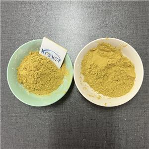 Casein phosphopeptide