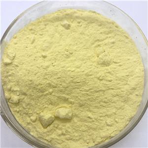 Ethyl cellulose