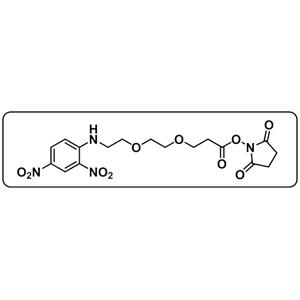 DNP-PEG2-NHS ester