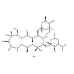 Azithromycin dihydrate pictures