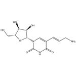 5-(3-amino-1-propenyl)uridine pictures