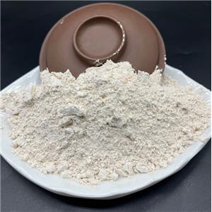 Food Grade Eggshell Membrane Protein Powder