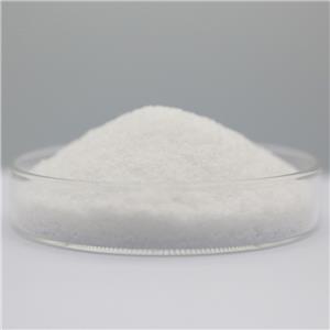 Cephalexin monohydrate