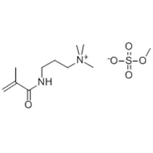 METHACRYLOYLAMINOPROPYLTRIMETHYLAMMONIUM METHYL SULFATE