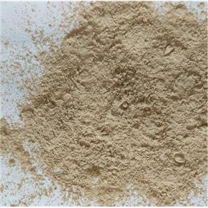 High Quality Nano Anion Powder Nano Negative Ions Powder