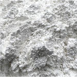 Shell powder high-end interior wall coating for livestock and poultry feed shell powder feed grade supply