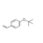 4-tert-Butoxystyrene pictures