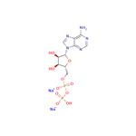 Adenosine-5'-diphosphate disodium salt? pictures