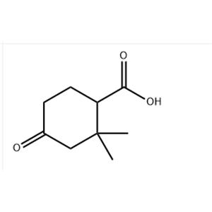 2,2-DIMETHYL-4-OXOCYCLOHEXANECARBOXYLIC ACID