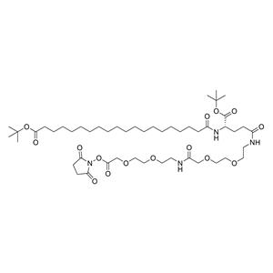 C20-OtBu-Glu(OtBu)-AEEA-AEEA-OSU