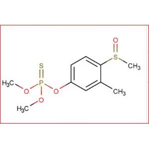 FENTHION-SULFOXIDE