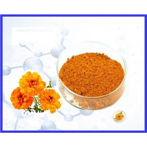 Marigold flower extract-Lutein Powder Comestic Grade For Improve Eye Health