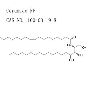 Ceramide NP2 For Moisturising, Anti-Allergy, Repairing
