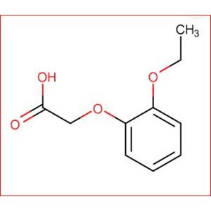 (2-ETHOXY-PHENOXY)-ACETIC ACID