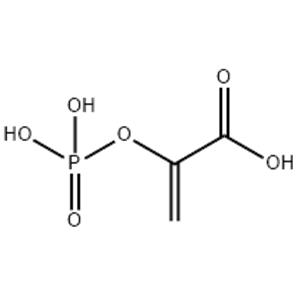 2-dihydroxyphosphinoyloxyacrylic acid