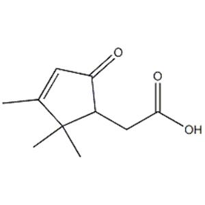 2-oxo-delta(3)-4,5,5-trimethylcyclopentenylacetic acid