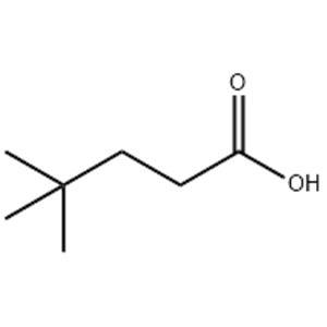 4,4-DIMETHYLPENTANOIC ACID