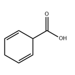 1,4-Dihydrobenzoic acid
