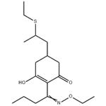 	Sethoxydim pictures