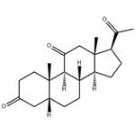 5β-Pregna-3,11,20-trione pictures