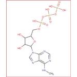 N6-Methyladenosine 5'-triphosphate pictures