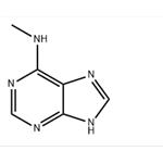 6-(METHYLAMINO)PURINE  pictures