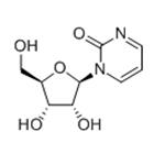 ZEBULARINE pictures