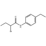 2-bromo-N-(4-ethylphenyl)butanamide pictures