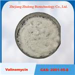 valinomycin pictures