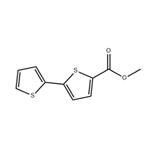 Methyl 5-(2-thienyl)-2-thiophenecarboxylate pictures