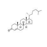 Cholesterol-M1 pictures