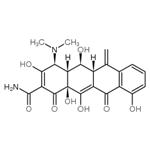 methacycline pictures