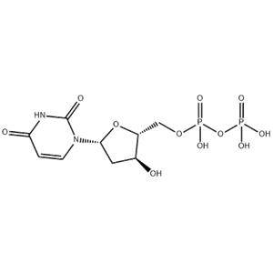 2'-deoxyuridine-5'-diphosphate