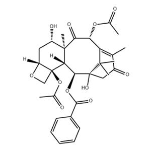 13-Oxobaccatin III