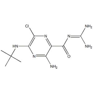 5-(N-tert-butyl)amiloride