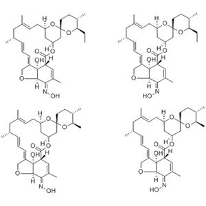 Milbemycin oxime