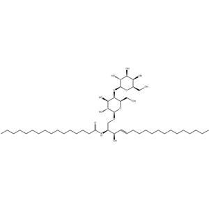 C16 Lactosylceramide