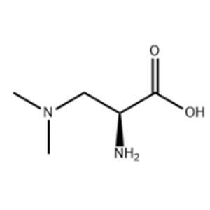 2-amino-3-(dimethylamino)propanoic acid