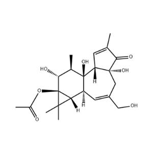 PHORBOL 13-ACETATE