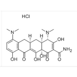 Minocycline hydrochloride