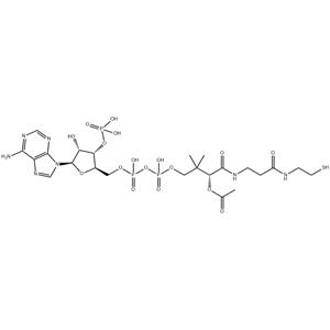 ACETYL COENZYME A TRILITHIUM SALT TRIHYDRATE