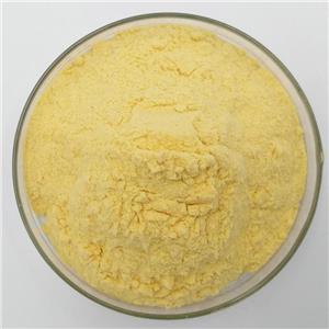 2-Nitrophenylacetic Acid